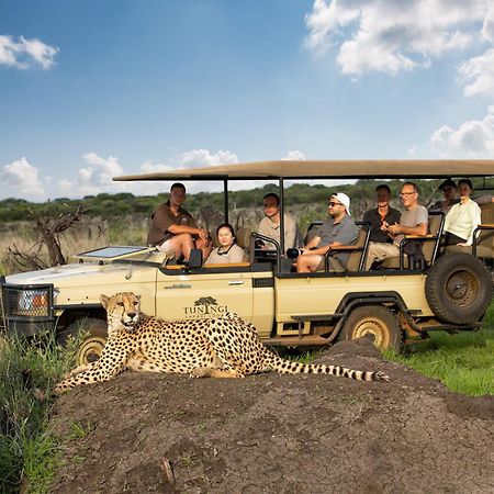 Tuningi Safari Lodge Madikwe viltreservat Exteriör bild