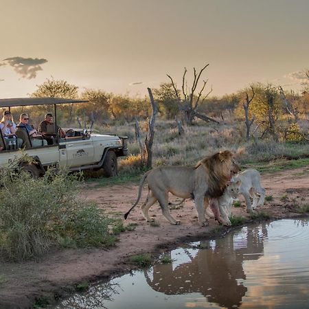 Tuningi Safari Lodge Madikwe viltreservat Exteriör bild