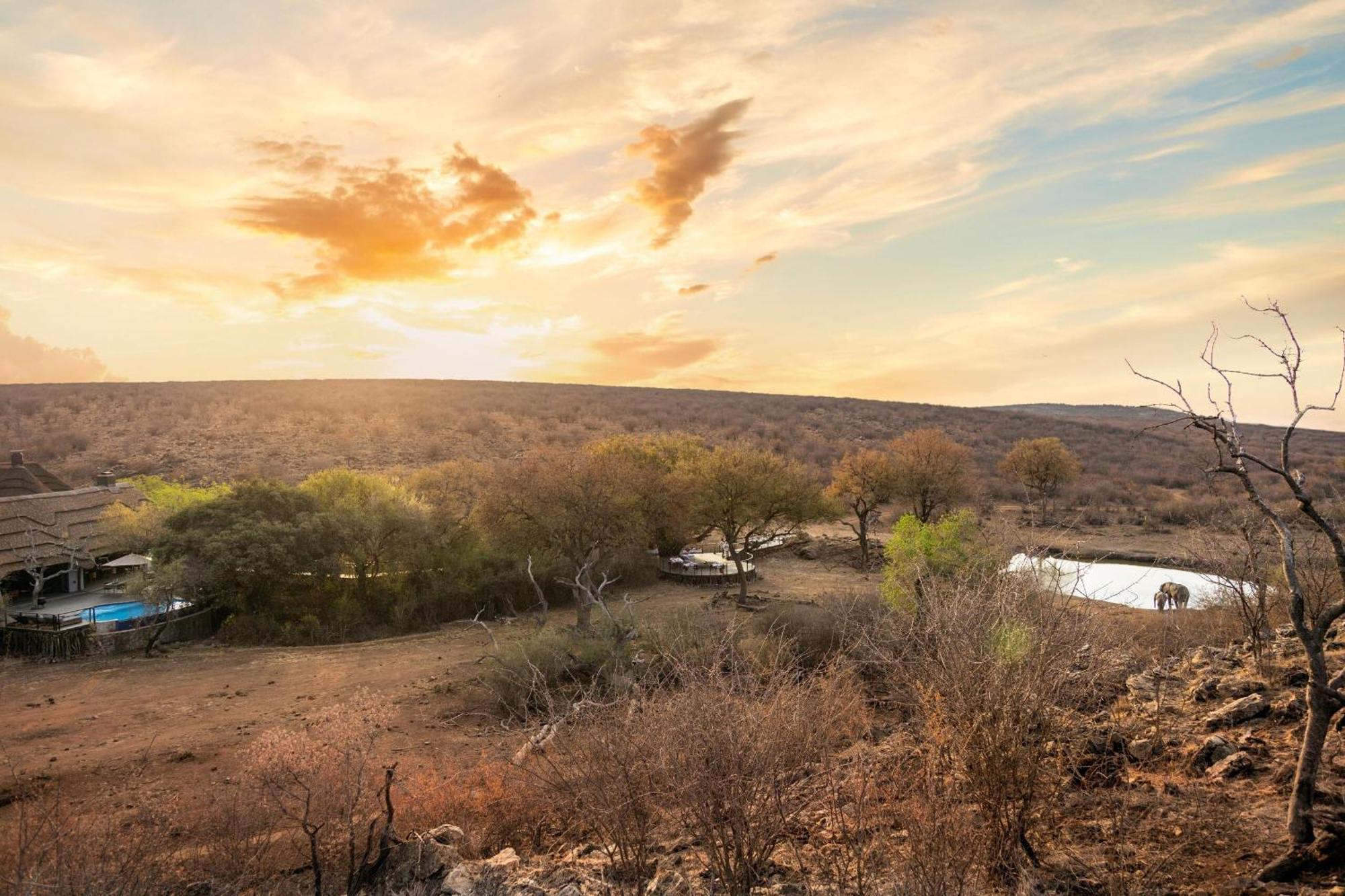 Tuningi Safari Lodge Madikwe viltreservat Exteriör bild