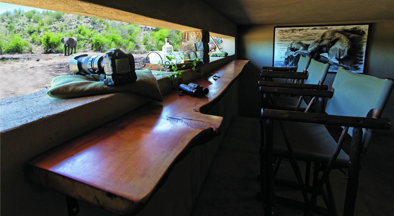 Tuningi Safari Lodge Madikwe viltreservat Exteriör bild