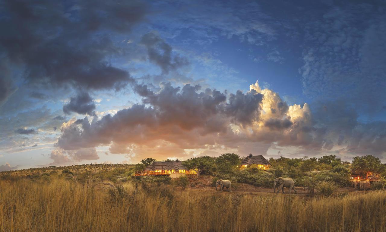 Tuningi Safari Lodge Madikwe viltreservat Exteriör bild