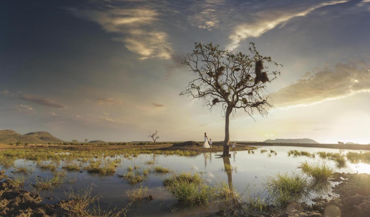 Tuningi Safari Lodge Madikwe viltreservat Exteriör bild